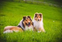 shutterstock_360043415