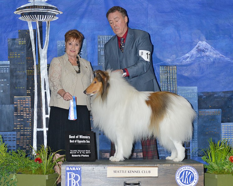 robertsphotos__dsc9328