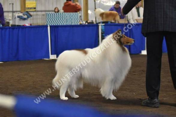 29543269_1264563116980303_5898591980533093504_n