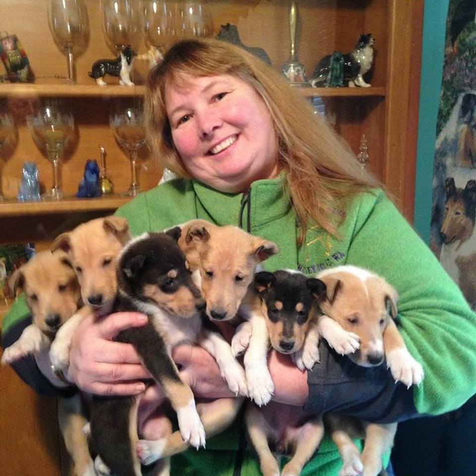 Recommended Local Breeders –