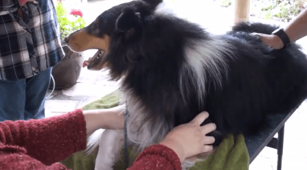 Screen Shot 2018-05-12 at 6.51.57 PM